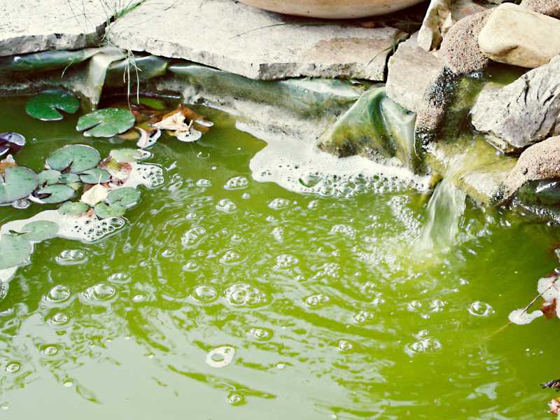 Aquarium Teich Luft Ausströmer Sauerstoff Sprudel Stein