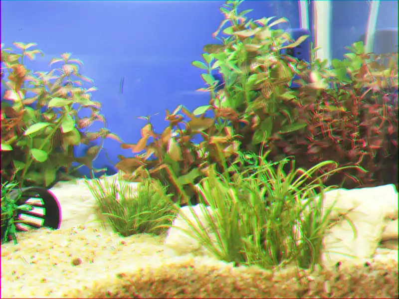 100 cm Aquarium