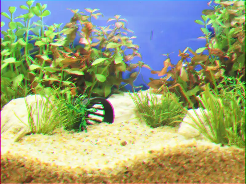 120 cm Aquarium