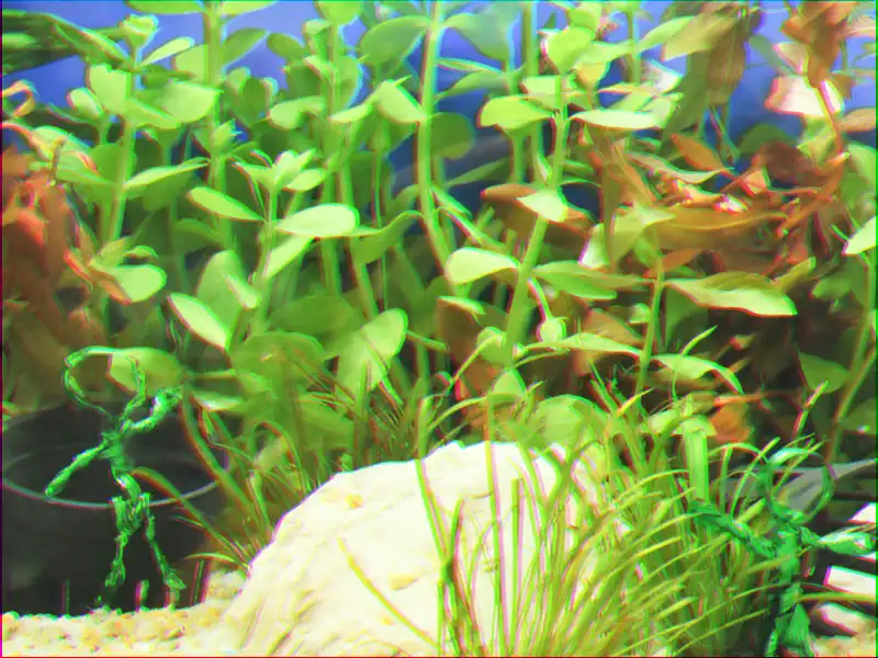 200 cm Aquarium