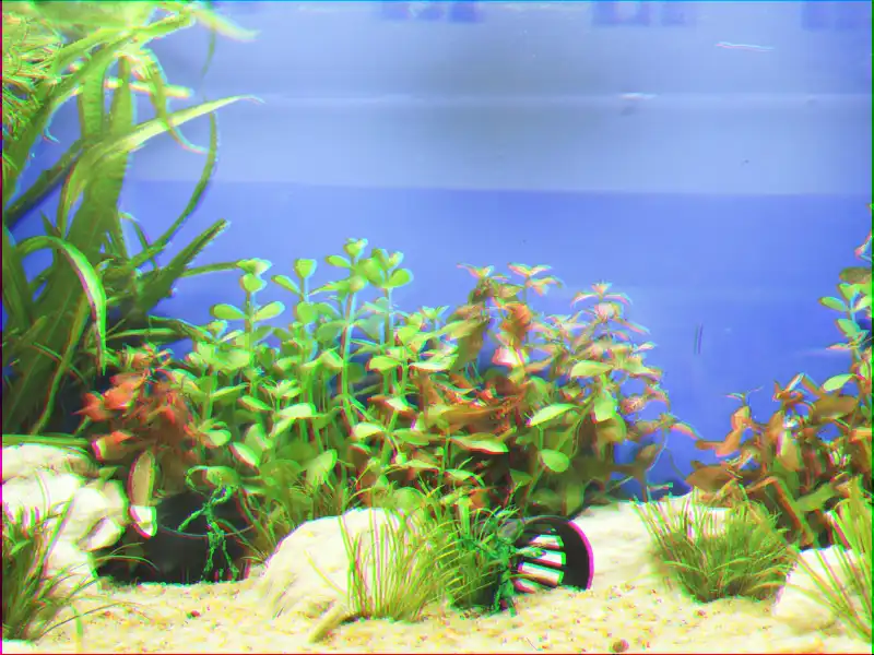 60 cm Aquarium