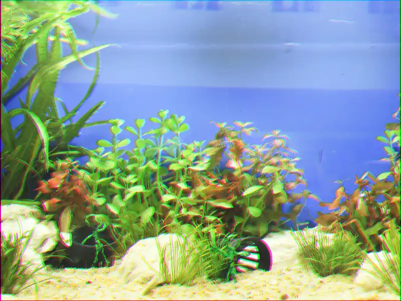 Wie finde ich das richtige Aquarium Komplettset?