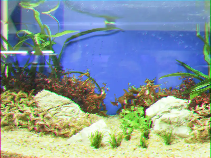 Aquarium Scheibenreiniger
