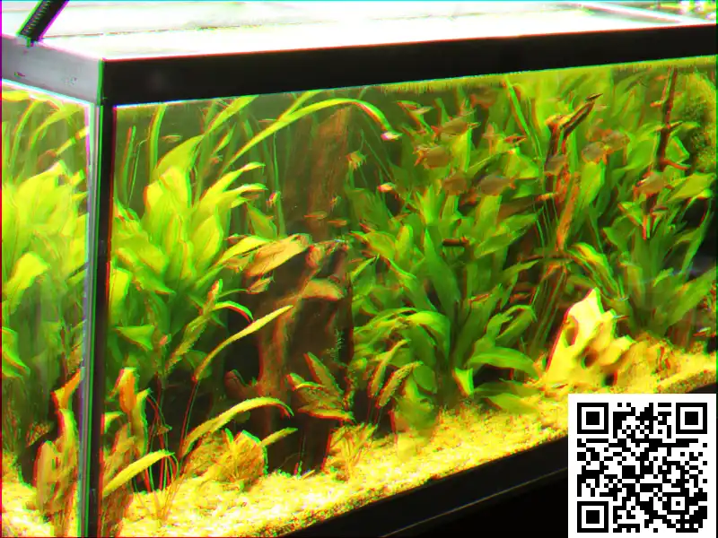 Nanotank 60 Aquarium mit Abdeckung und Unterlage